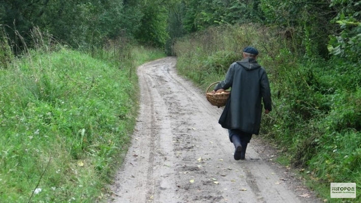 Грибник идет по дороге в лесу